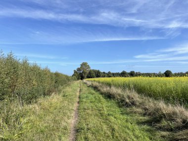 Almanya 'da Zwillbrocker çevresindeki yol