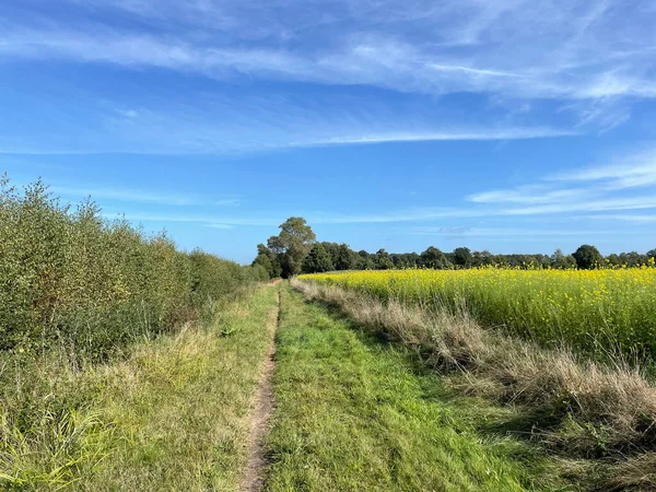Almanya 'da Zwillbrocker çevresindeki yol