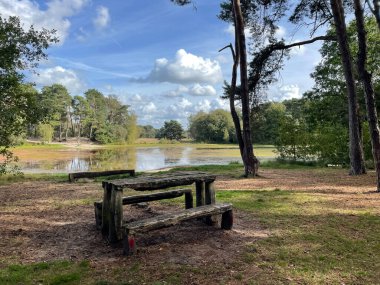 Hollanda, Gelderland 'deki Haaksbergen yakınlarında bir göldeki ahşap park bankında.