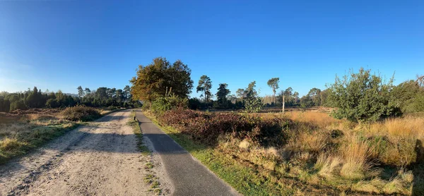 Hollanda Nın Overijssel Kentindeki Lemelerberg Deki Bir Kum Yolundan Panorama — Stok fotoğraf