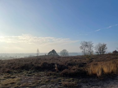 Hollanda 'daki Sallandse Heuvelrug Ulusal Parkı' nda sonbahar boyunca Holterberg nehri.