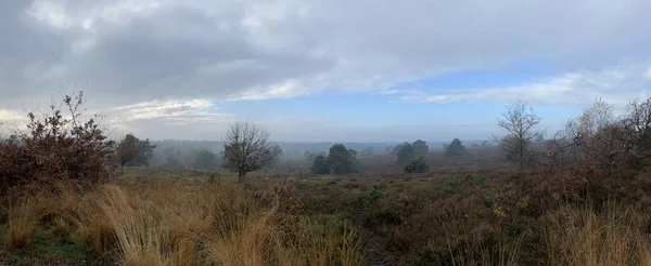 Panorama Brumoso Holterberg Durante Otoño Parque Nacional Sallandse Heuvelrug Los — Foto de Stock