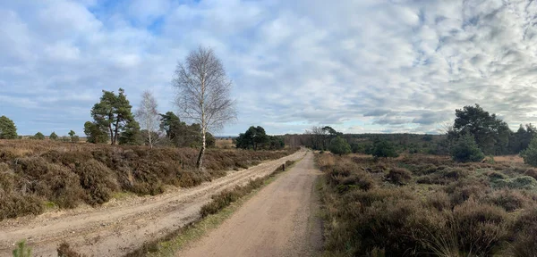 Panorama Caminos Grava Arena Durante Otoño Parque Nacional Sallandse Heuvelrug — Foto de Stock