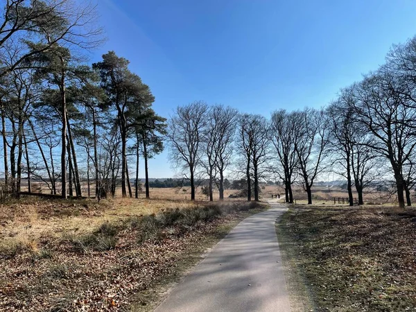 Hollanda Daki Kootwijk Radyosu Etrafındaki Bisiklet Yolu — Stok fotoğraf