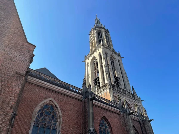 Cunerakerk Chiesa Principale Rhenen Paesi Bassi — Foto Stock