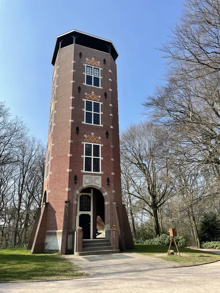 Torre Vigilancia Koepel Reserva Natural Alrededor Lunteren Los Países Bajos —  Fotos de Stock