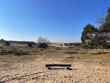 Hollanda 'da bahar aylarında Veluwezoom manzarası