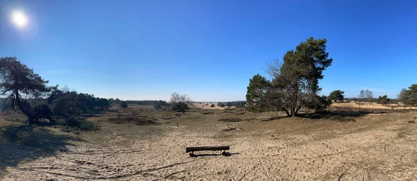 Hollanda 'da bahar aylarında Veluwezoom manzarası