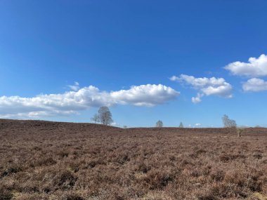 Hollanda 'nın Heerde çevresindeki iç mekan