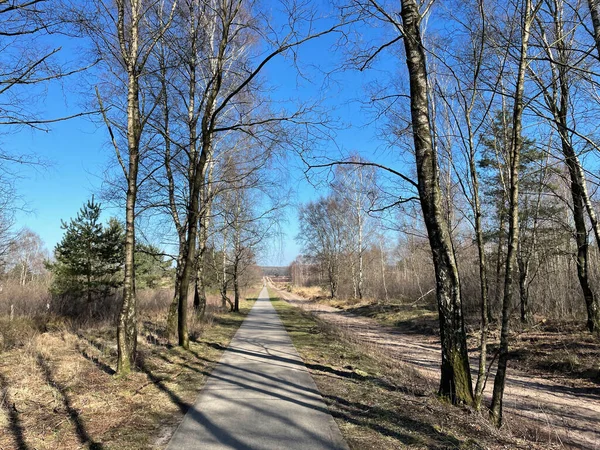 Hollanda Gelderland Radyo Kootwijk Doğru Bisiklet Yolu — Stok fotoğraf