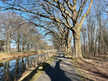 Hollanda 'daki Apeldoorns kanalının yanındaki patika