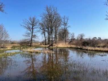 Gelderland, Hollanda 'da Tondensche Heide üzerinde duruluyor.