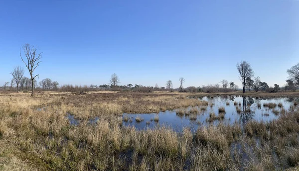Мбаппе Empesche Tondensche Heide Нидерландах — стоковое фото
