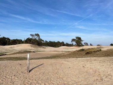 Hollanda, Beerze 'deki kum tepelerinde yürüyüş yolu Overijssel