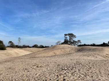 Beerze 'deki kum tepeleri, Hollanda' daki Overijssel
