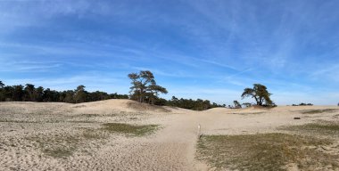 Beerze, Overijssel 'deki kum tepelerinden panorama