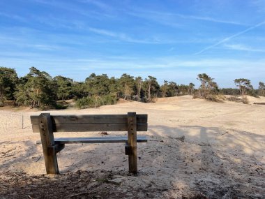 Hollanda, Beerze, Overijssel 'deki kum tepelerinde park bankında.