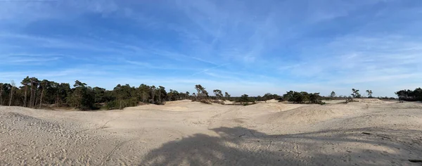 Панорама Піщаних Дюн Беер Оверіссель Нідерланди — стокове фото