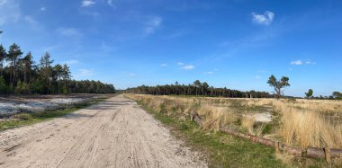 Hollanda 'da Beerze' nin çevresindeki bir kumdan Panorama