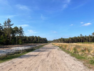 Hollanda 'da Birze' nin çevresindeki kum yolu.