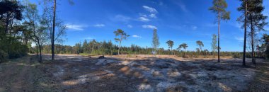 Hollanda 'nın Ommen çevresindeki ormanların tahrip edilmesinden Panorama