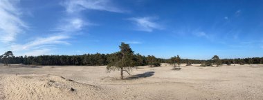 Hollanda, Overijssel 'deki Sahara Ommen' den Panorama