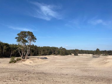 Overijssel 'deki Sahara Ommen Hollanda