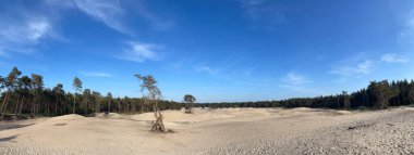 Hollanda, Overijssel 'deki Sahara Ommen' den Panorama