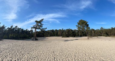 Hollanda, Overijssel 'deki Sahara Ommen' den Panorama