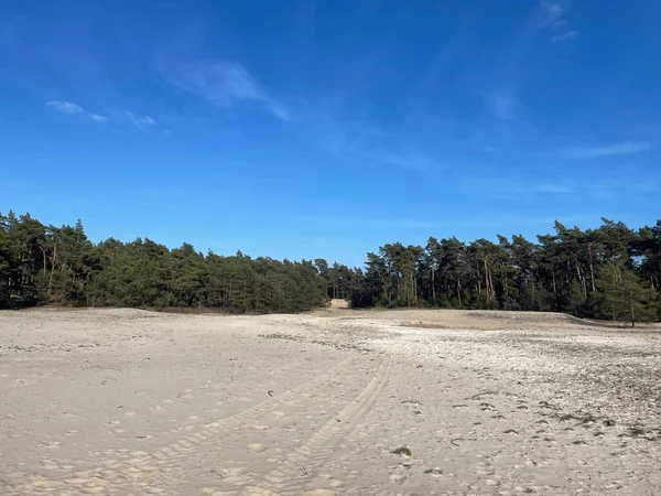 Stock image Sahara Ommen in Overijssel the Netherlands