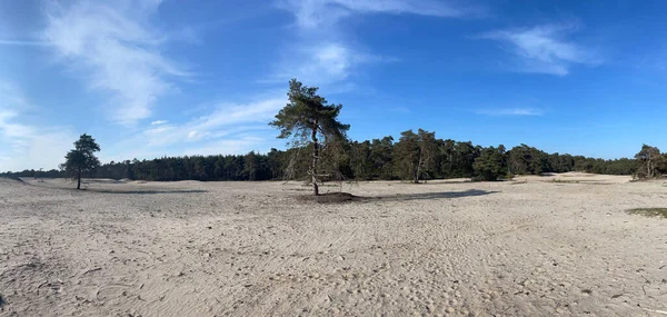 Hollanda, Overijssel 'deki Sahara Ommen' den Panorama