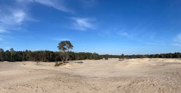 Panorama Del Omán Del Sahara Overijssel Países Bajos — Foto de Stock