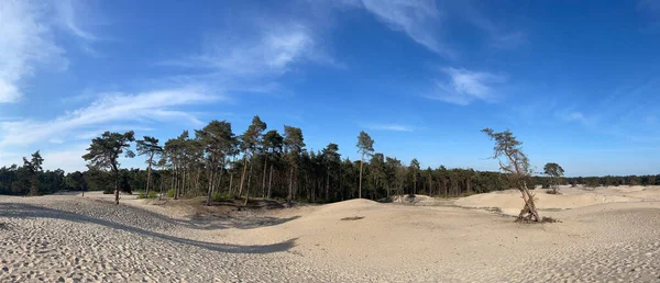 Hollanda, Overijssel 'deki Sahara Ommen' den Panorama