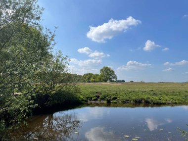 Hollanda 'daki Vechte' nin çevresindeki manzara.