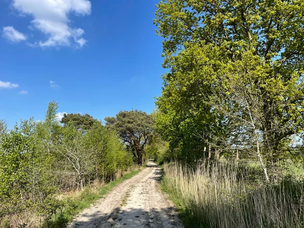 Overijssel 'de Beerze' nin etrafındaki kum yolu Hollanda