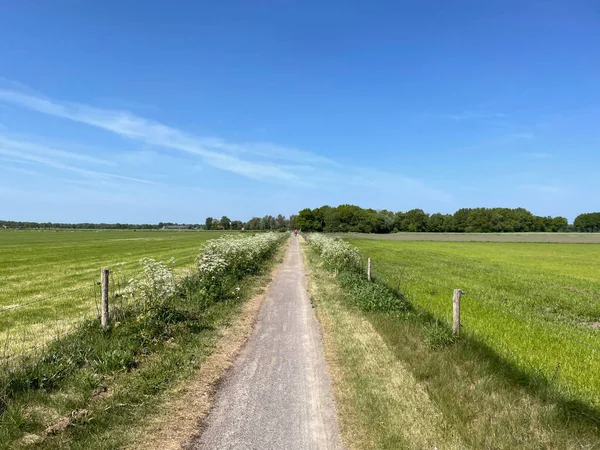 Gravel Path Een West Drenthe Netherlands — Stock Fotó