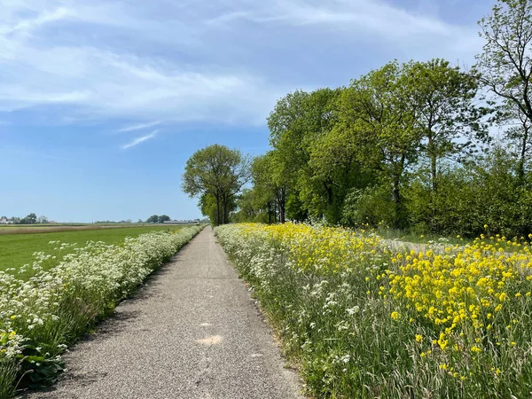 Bicycle Path Aldeboarn Friesland Netherlands — Stockfoto