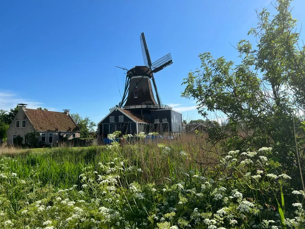 Hollanda 'daki IJlst Friesland' da Yel Değirmeni De Rat