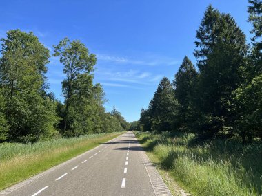 Hollanda 'daki Kuinderbos' tan geçen yol