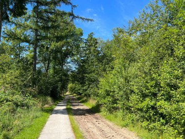 Hollanda 'daki kuinderbolardan geçen yol