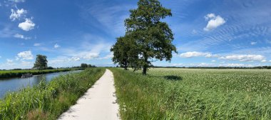 Hollanda 'nın Overijssel kentindeki Steenwijkerwold çevresindeki bir kanaldan panorama