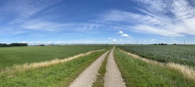 Hollanda 'nın Kuinre Overijssel çevresindeki bir yol ve tarım alanından Panorama