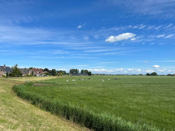 Town Kuinre Farmland Overijssel Netherlands — Stockfoto