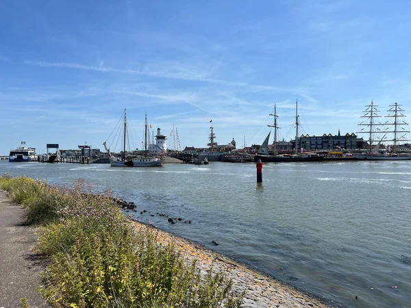 Evento Veleros Puerto Harlingen Frisia Países Bajos — Foto de Stock