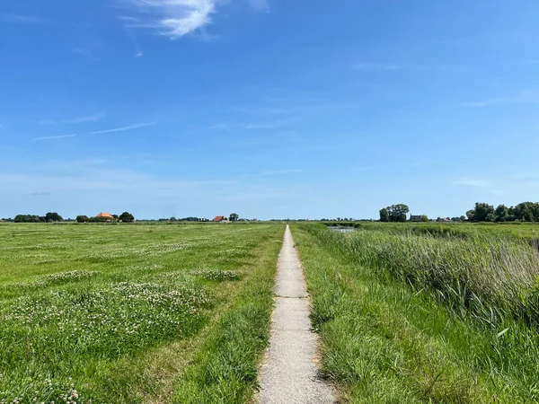 Kleiner Pfad Rund Easterein Friesland Niederlande — Stockfoto