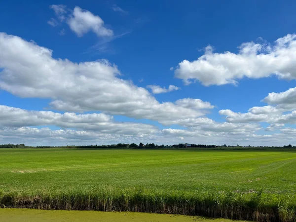 Farmland Broek Friesland Netherlands — Stock Photo, Image