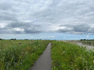 Path next to a canal around Baard in Friesland the Netherlands