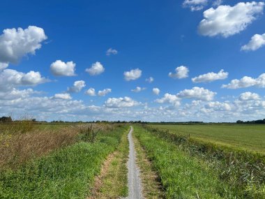 Hollanda Friesland 'daki Nij Pancarları' nın etrafındaki çakıl yolu.