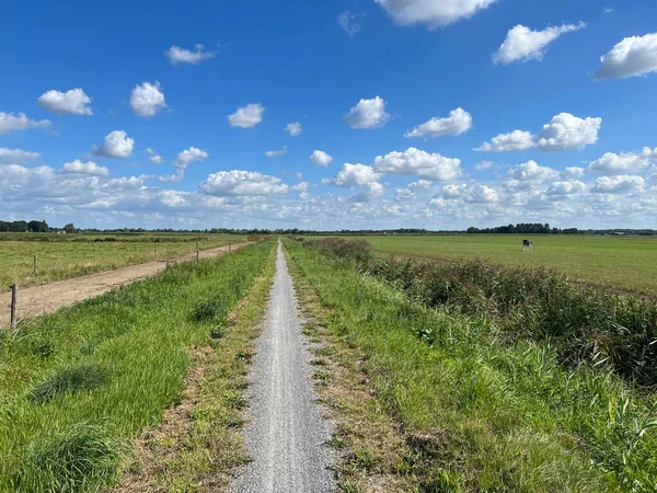 Sendero Grava Alrededor Nij Beets Frisia Países Bajos — Foto de Stock