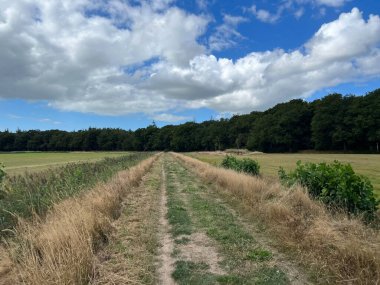 Hollanda, Friesland 'da Rijs' in çevresindeki patika